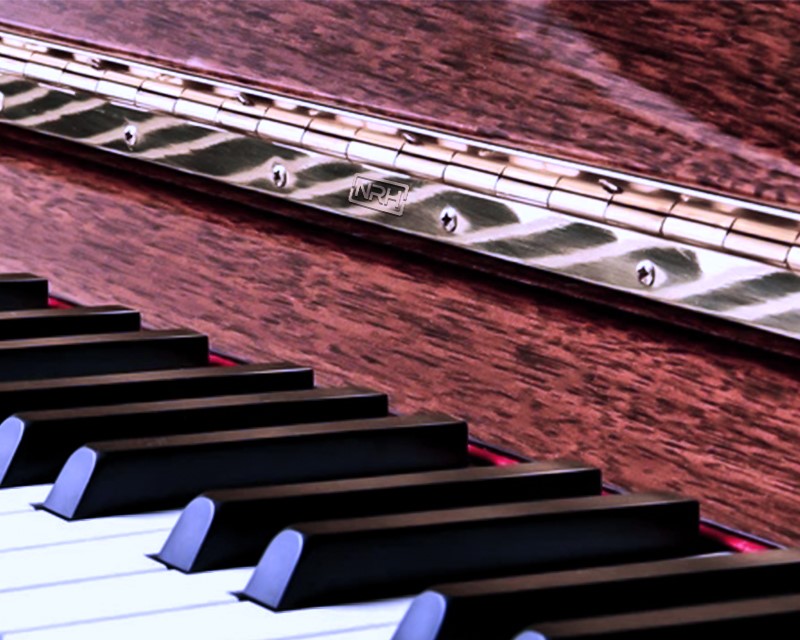 羞羞漫画在线观看视频